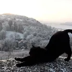 Chez Fouchs - D'hotes