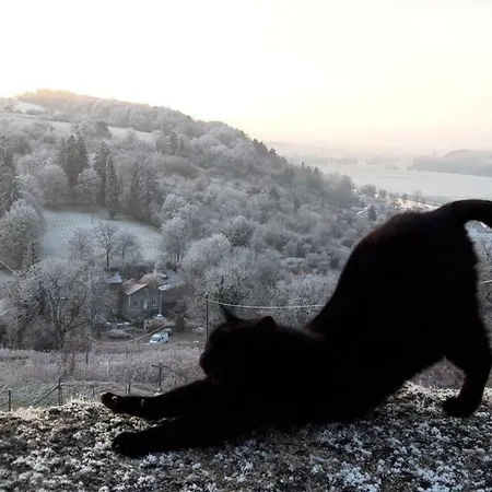 Chez Fouchs - D'hotes