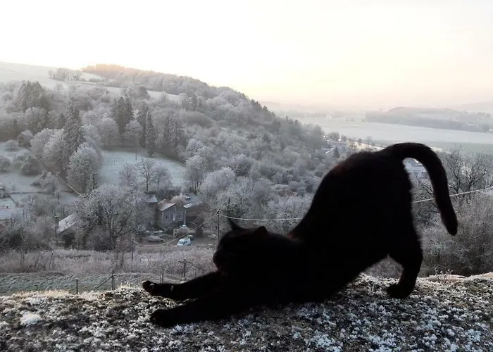 Chez Fouchs - D'hotes